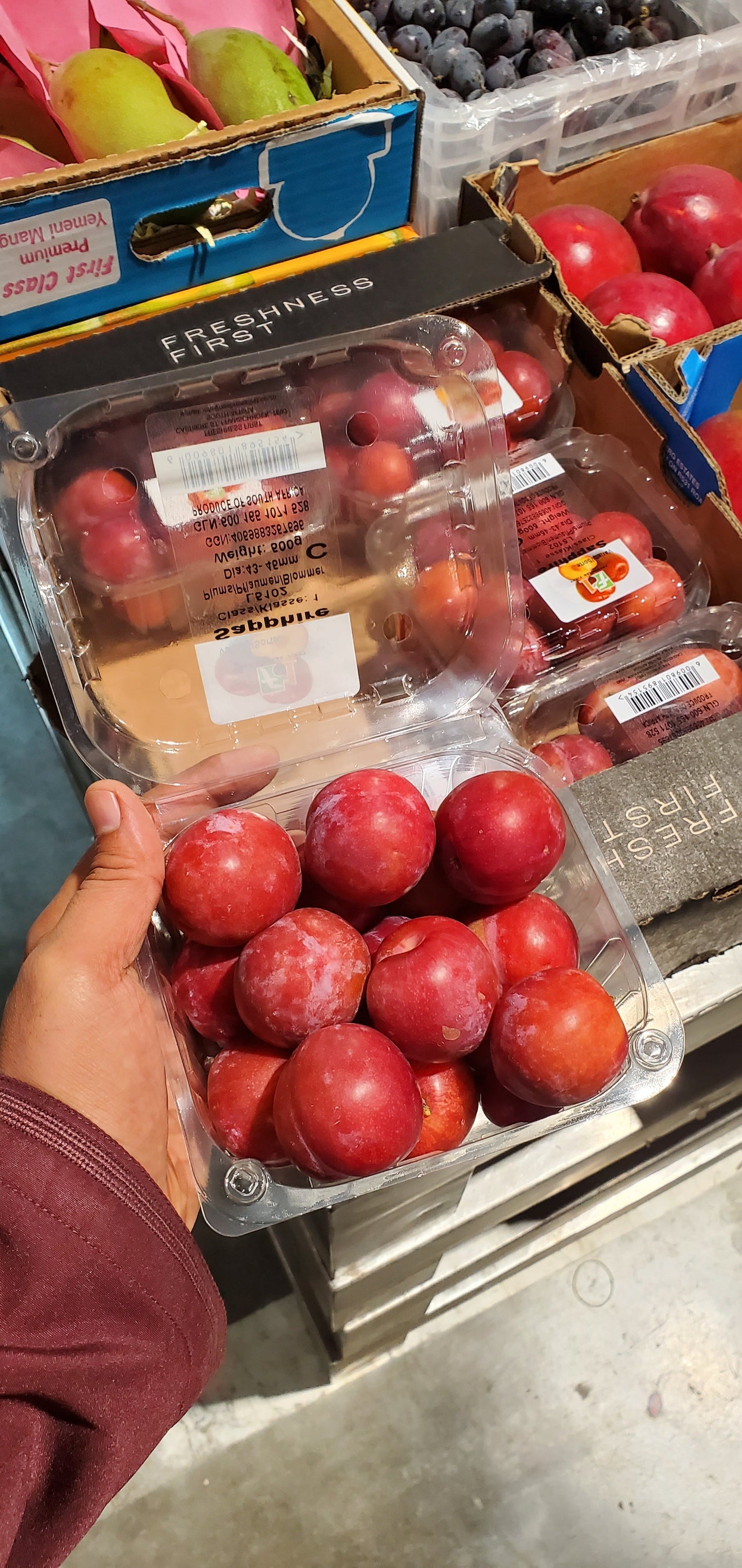 Red Plums  /برقوق احمر بكت