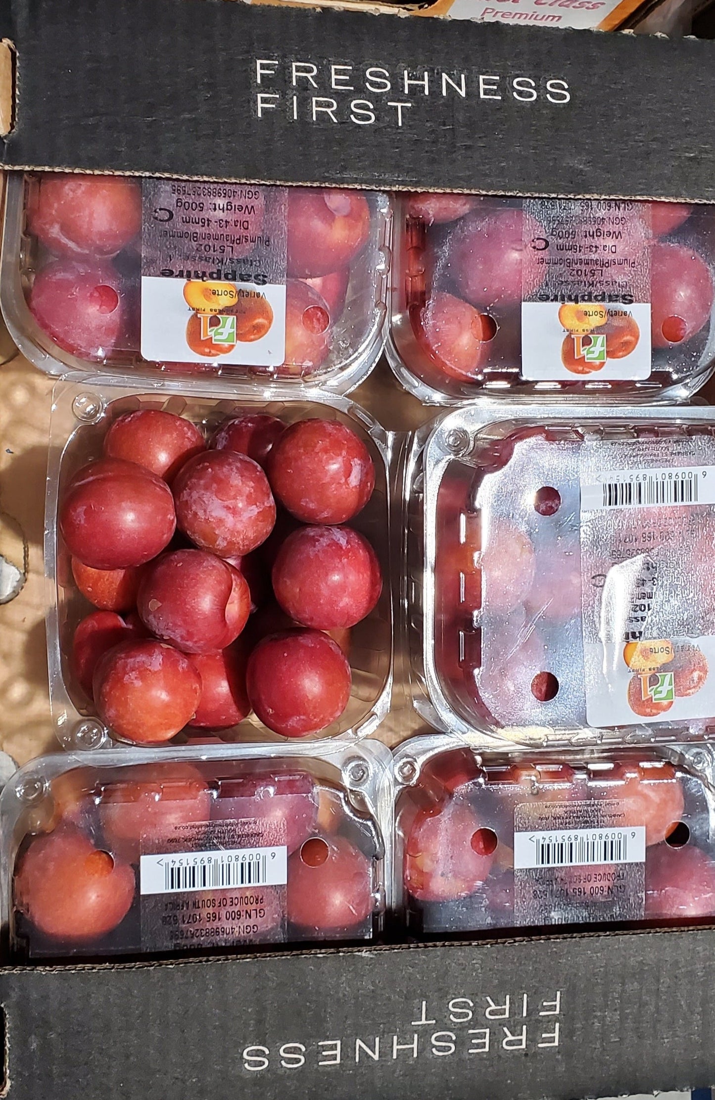 Red Plums  /برقوق احمر بكت