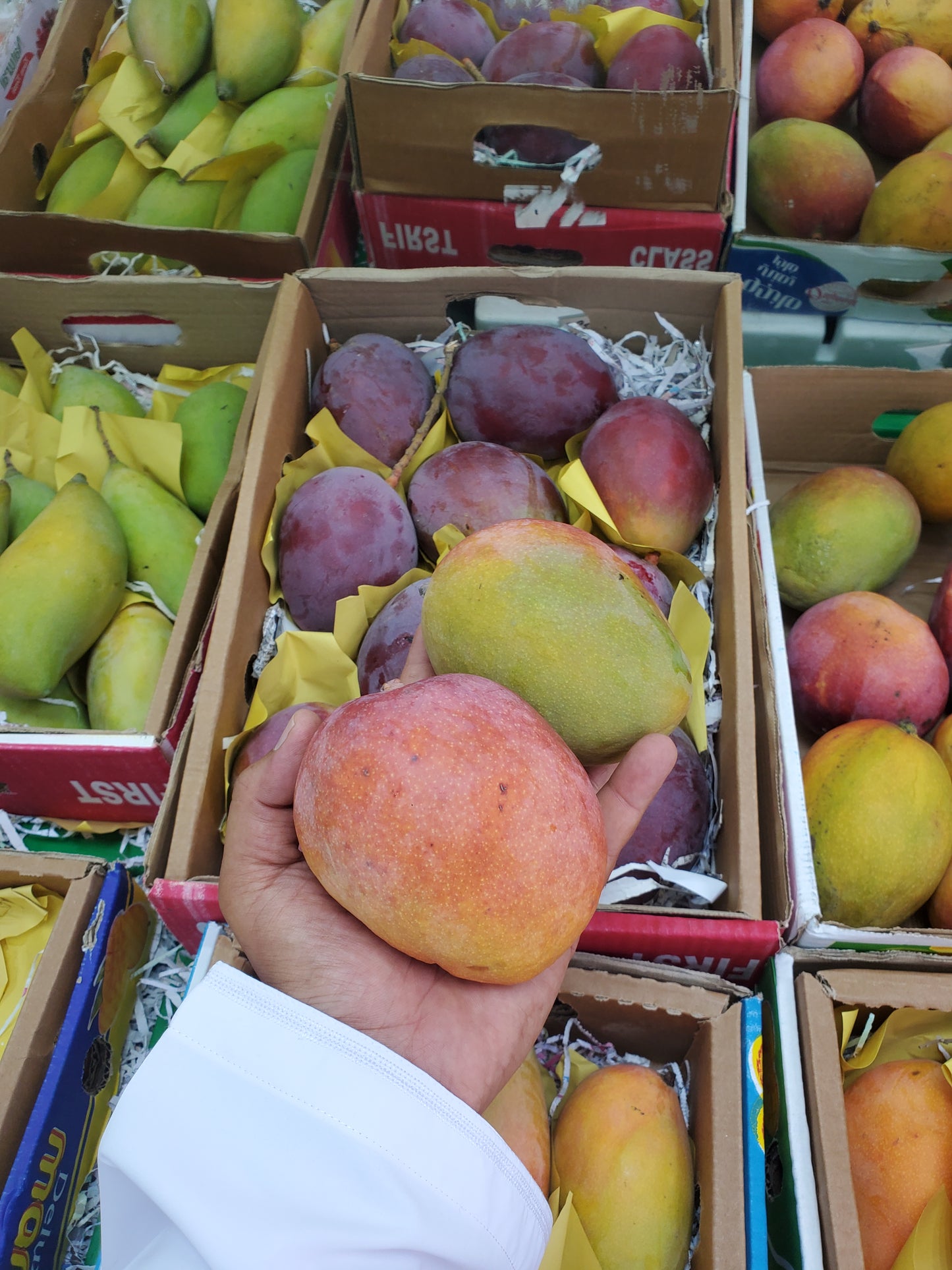 (Mango)Kalbatoor Box مانجو قلب الثور كرتون⁩
