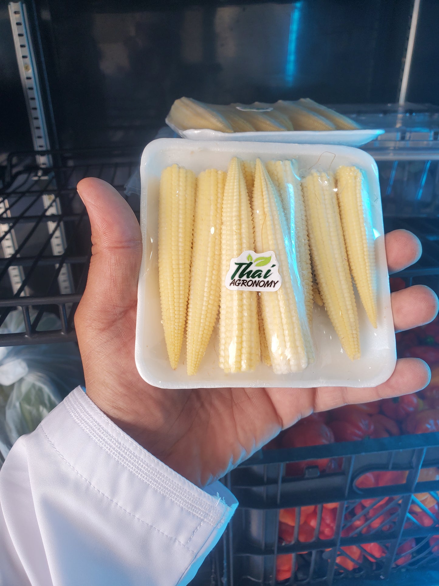 Corn Thailand Pct ذرة بيبي تايلند بكت