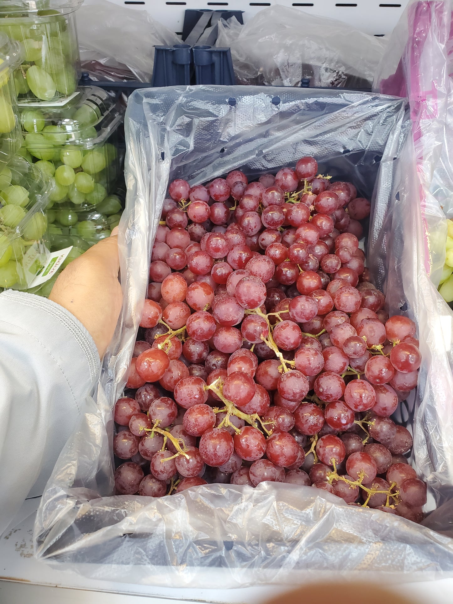 Grapes Red Small basket 1.5kg عنب احمر سله صغيرة
