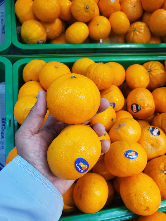 Mandarin Egypt 0.5kg سنتره مصرية