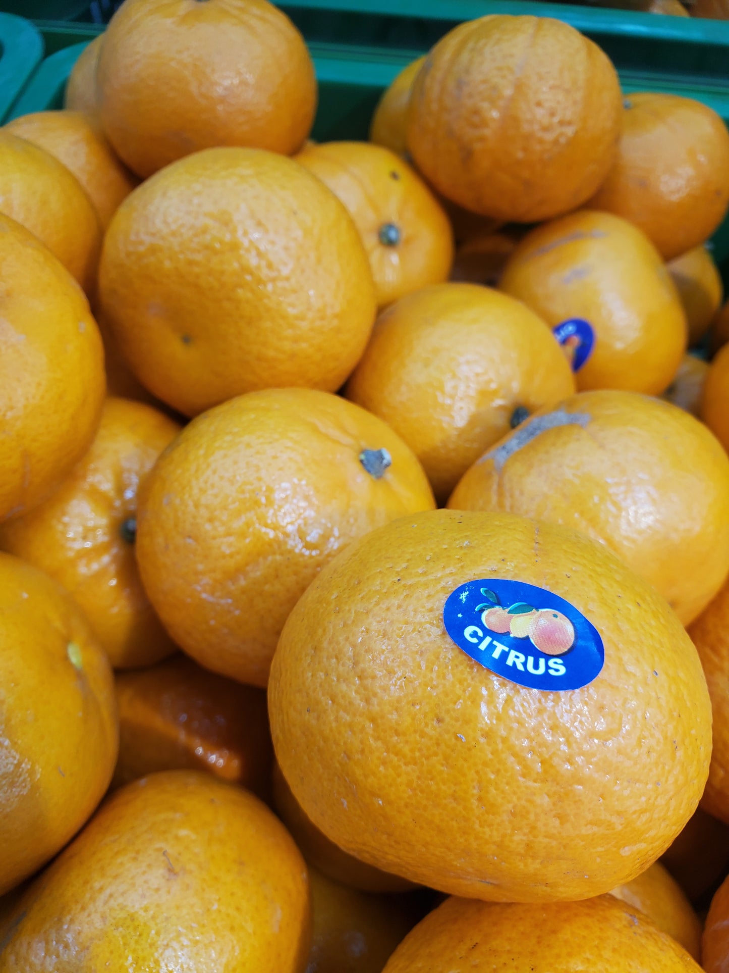 Mandarin/ China pkt 0.5kg  سنترة صيني/ باكيت