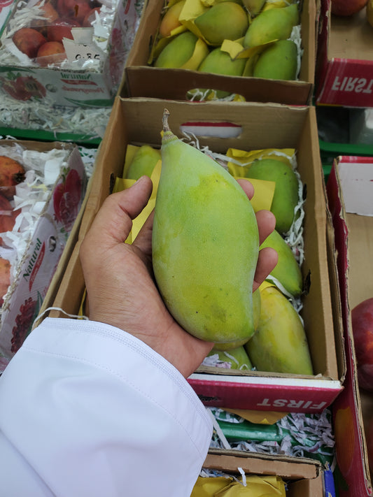 (Mango) Fish 0.5kg مانجو سمكة