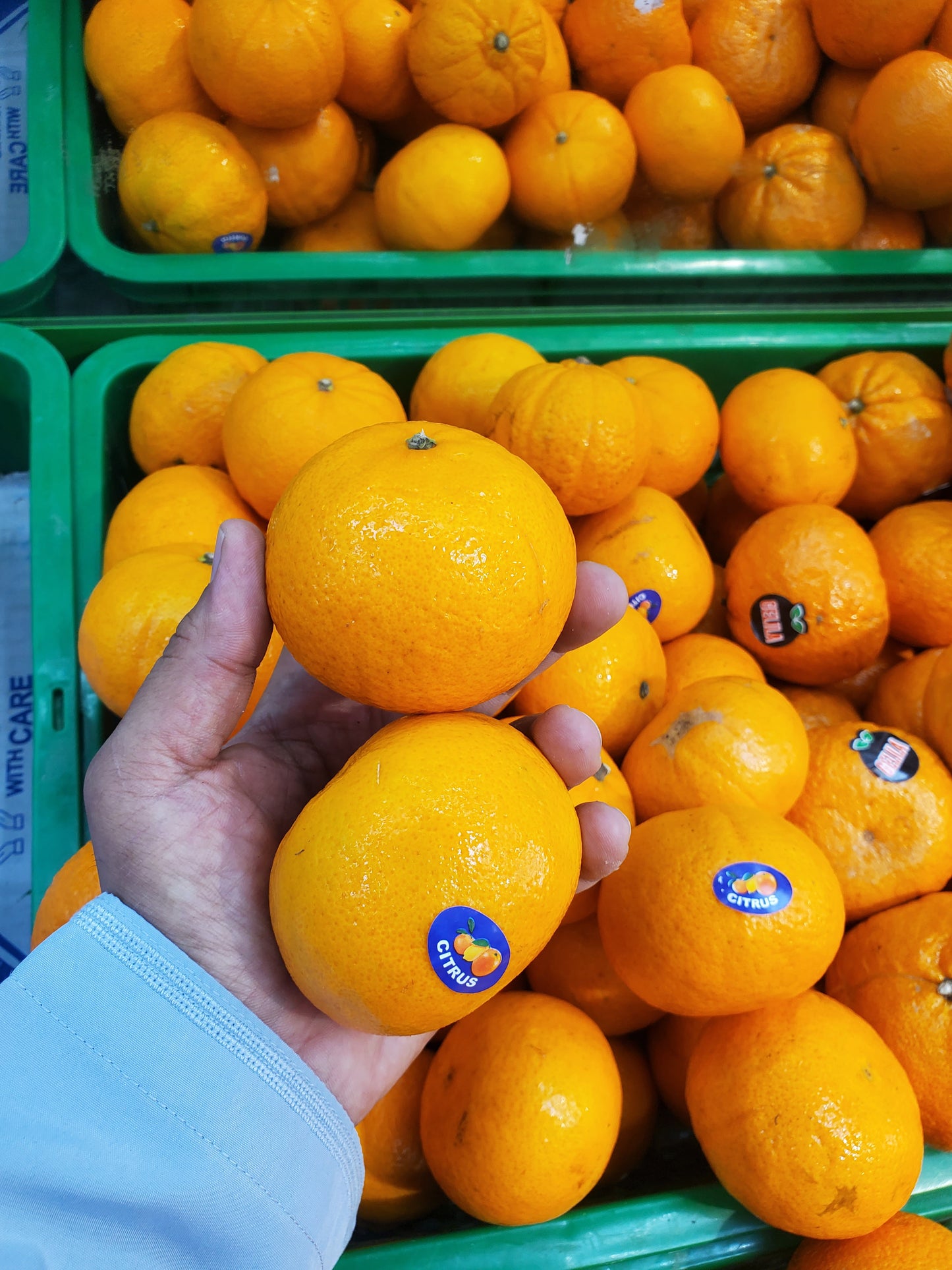 Mandarin/ China pkt 0.5kg  سنترة صيني/ باكيت
