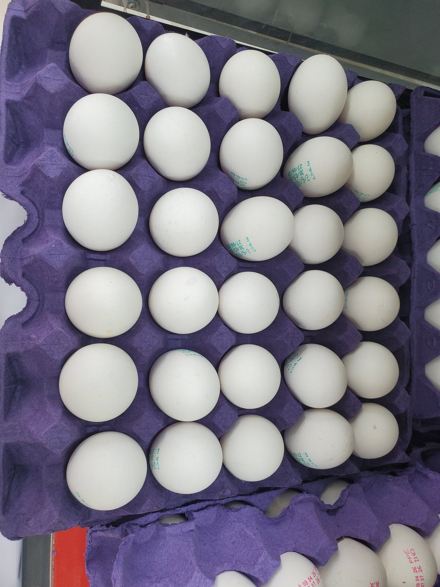 Eggs Al Dana xl (1*30)Pc بيض الدانه