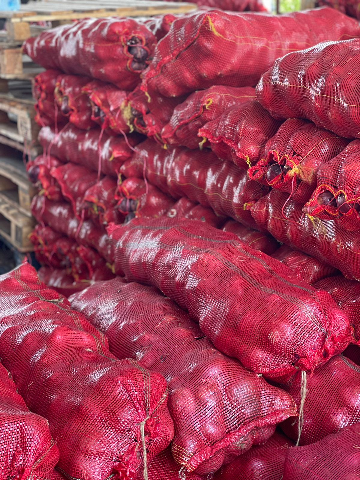 Onion 9kg بصل