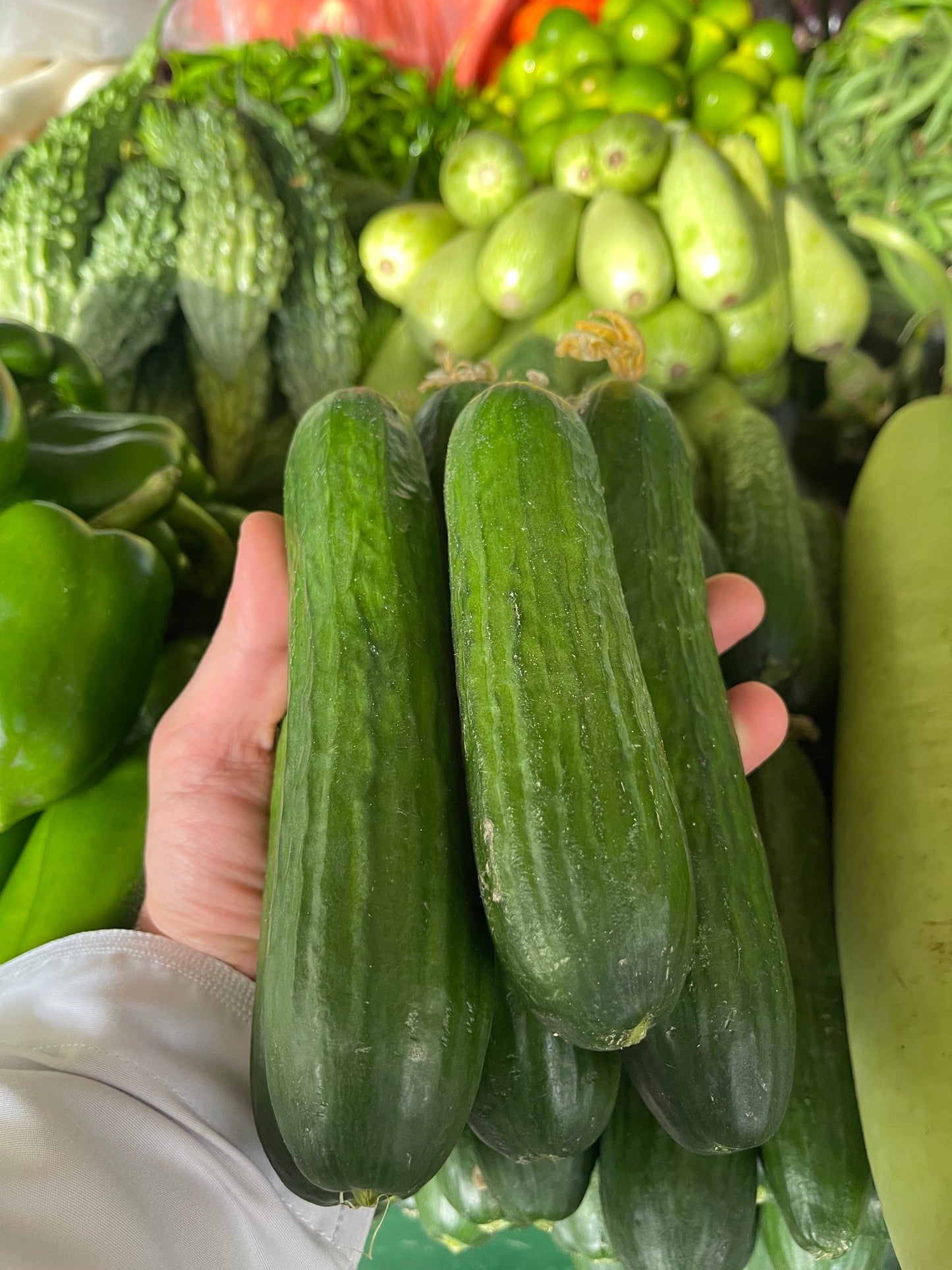 Cucumber/ Oman 0.5kg خيار عماني