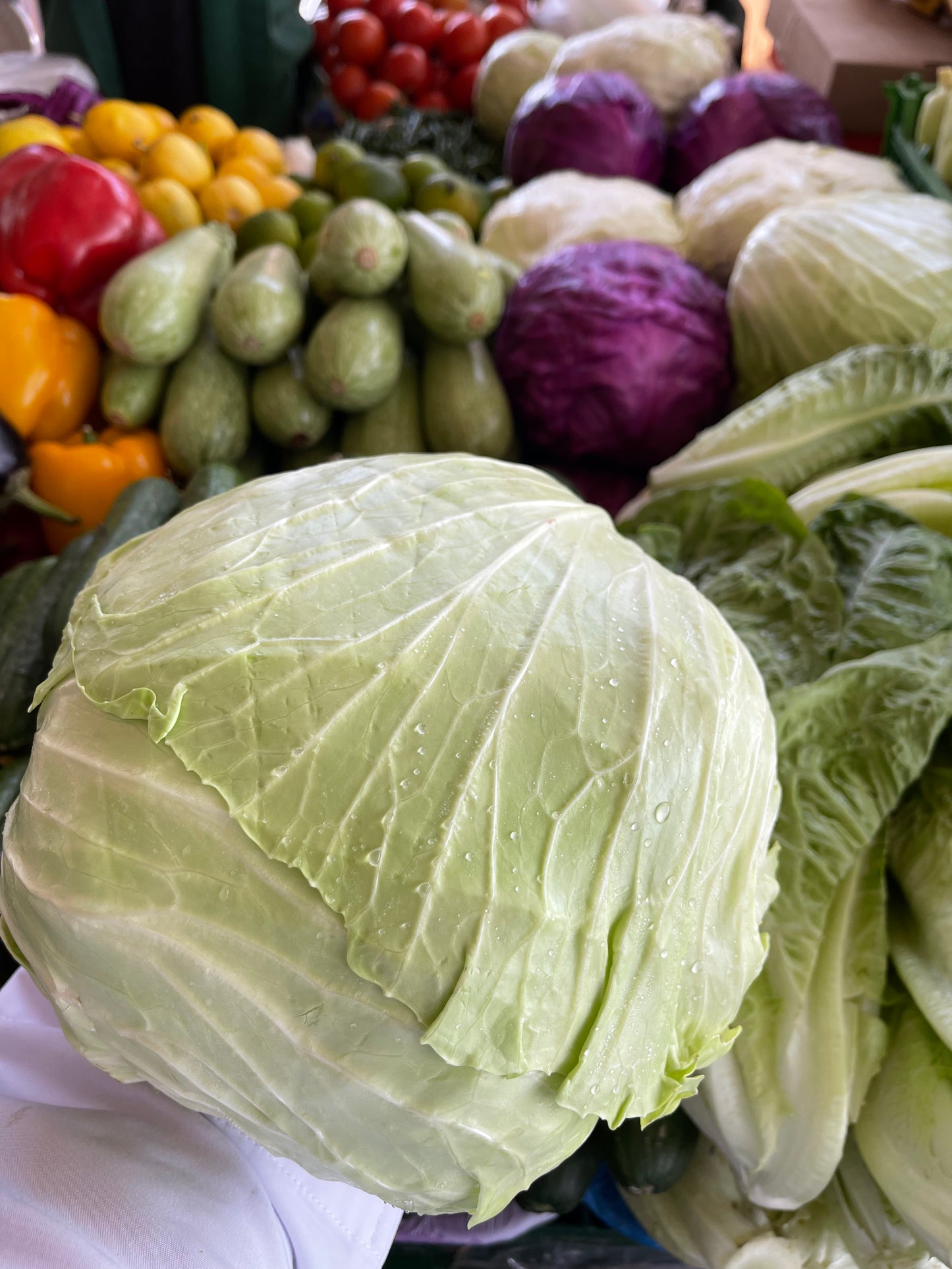Cabbage Green pc  ملفوف اخضر  حبة