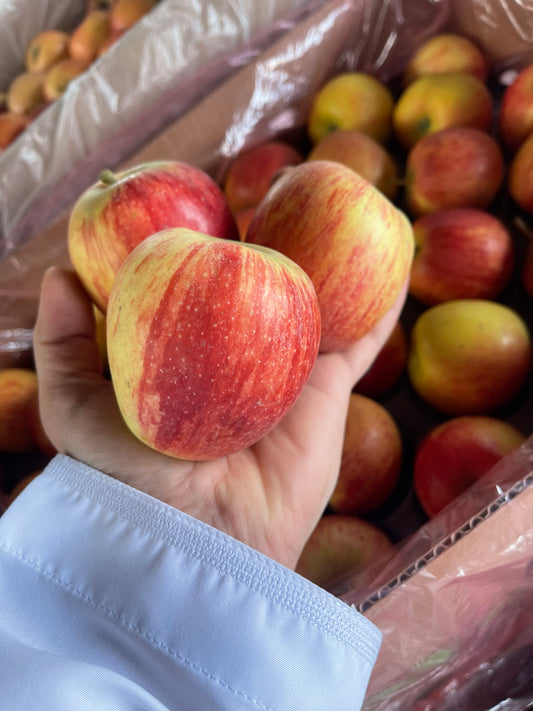 Apple/Royal Gala 0.5Kg تفاح رويال غالا