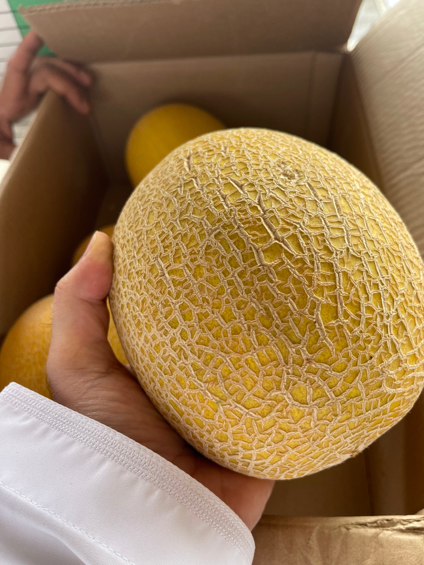 Saffron Melon 1pc  شمام عماني حبة
