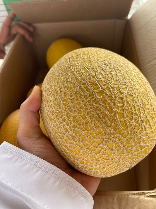 Saffron Melon 1pc  شمام عماني حبة
