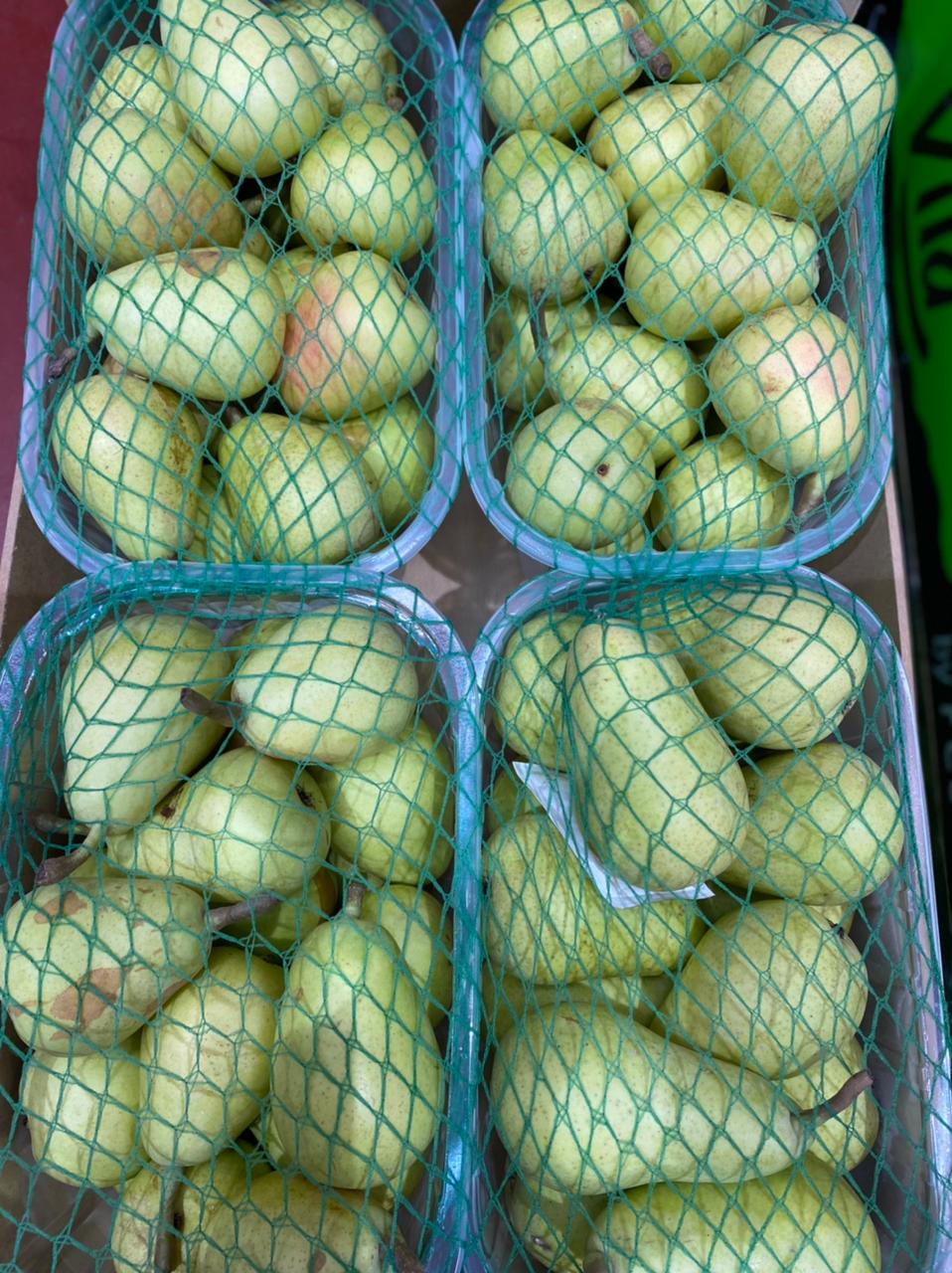 Pears/ Rosemerry كمثرى روز ميري بكت