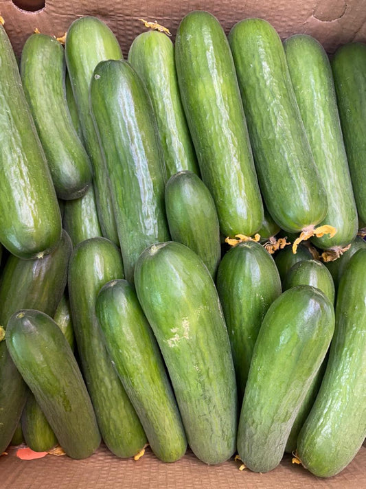 Cucumber/ Oman 9kg خيار عماني