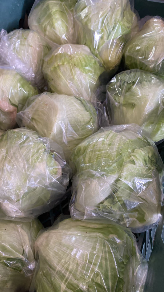 Lettuce (Iceberg) 4kg خس ايسبيرج