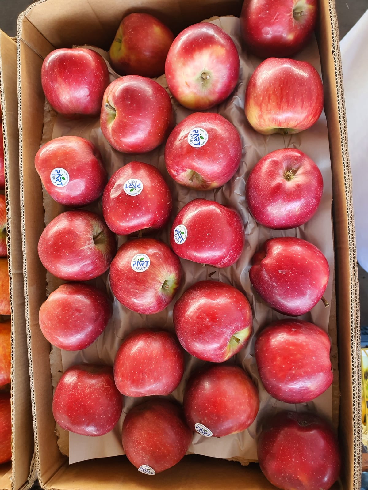 Apple Jazz/ France 0.5kg  0.5kg تفاح جاز فرنسي