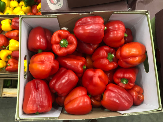 Bell Pepper (Red) 10Pc فلفل رومي احمر