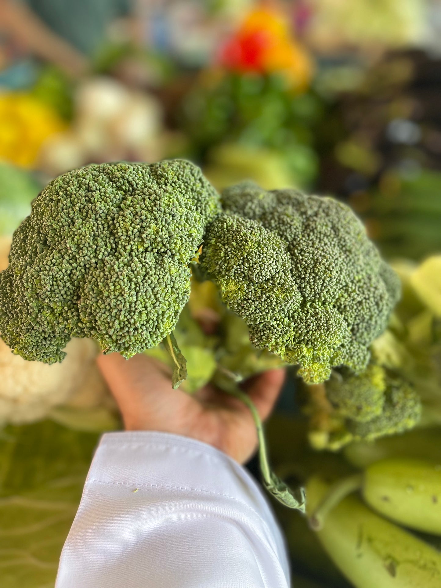 Broccoli 0.5kg بروكلي