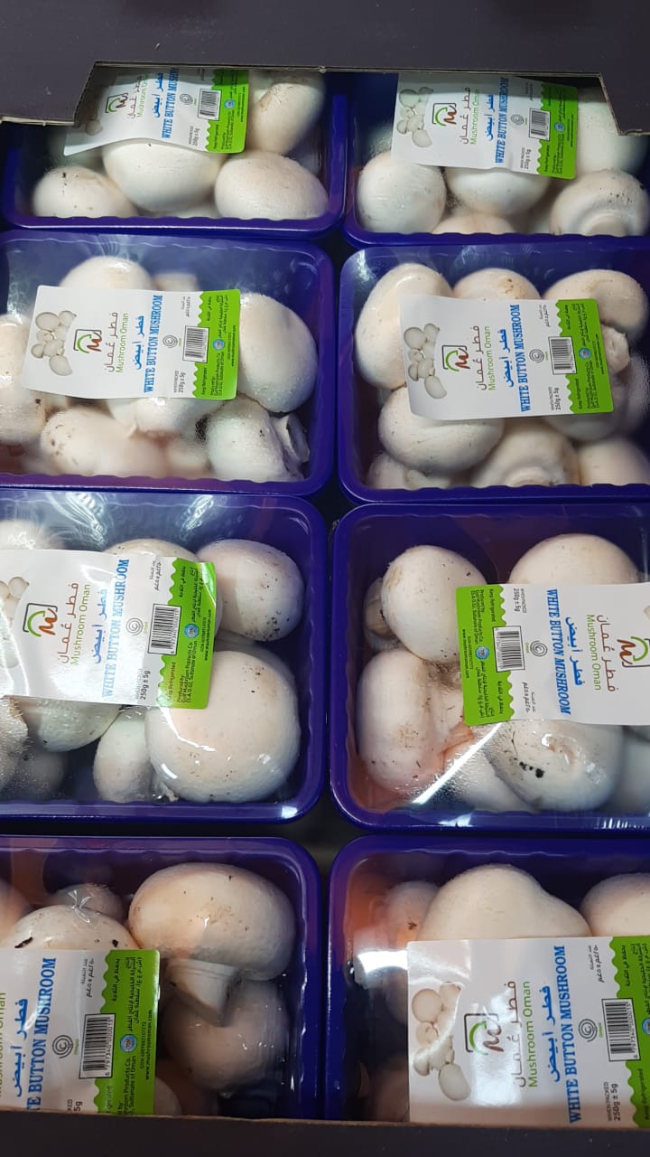 Mushroom White 250g مشروم ابيض