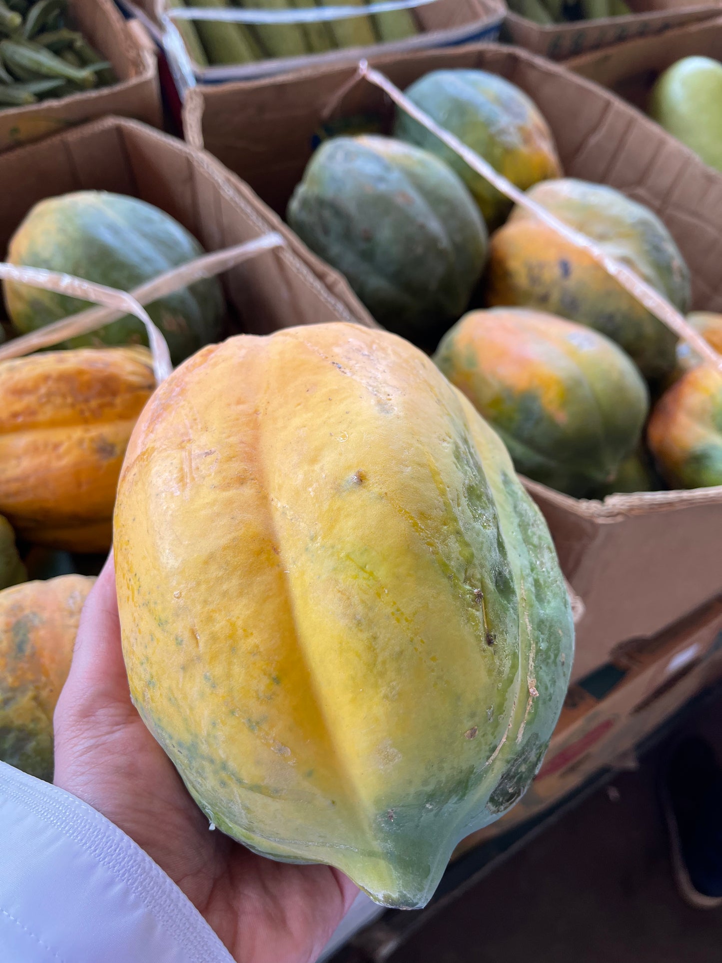 Papaya Oman 1pc (1.5/2KG)  فيفاي عماني حبة